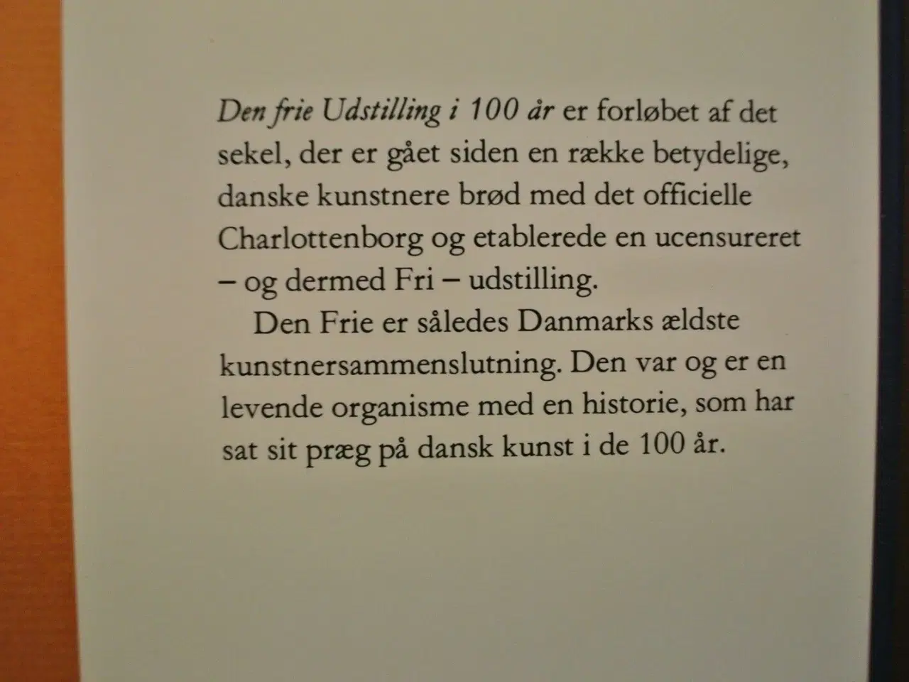 Billede 2 - den frie udstilling i 100 år, af bente scavenius, 