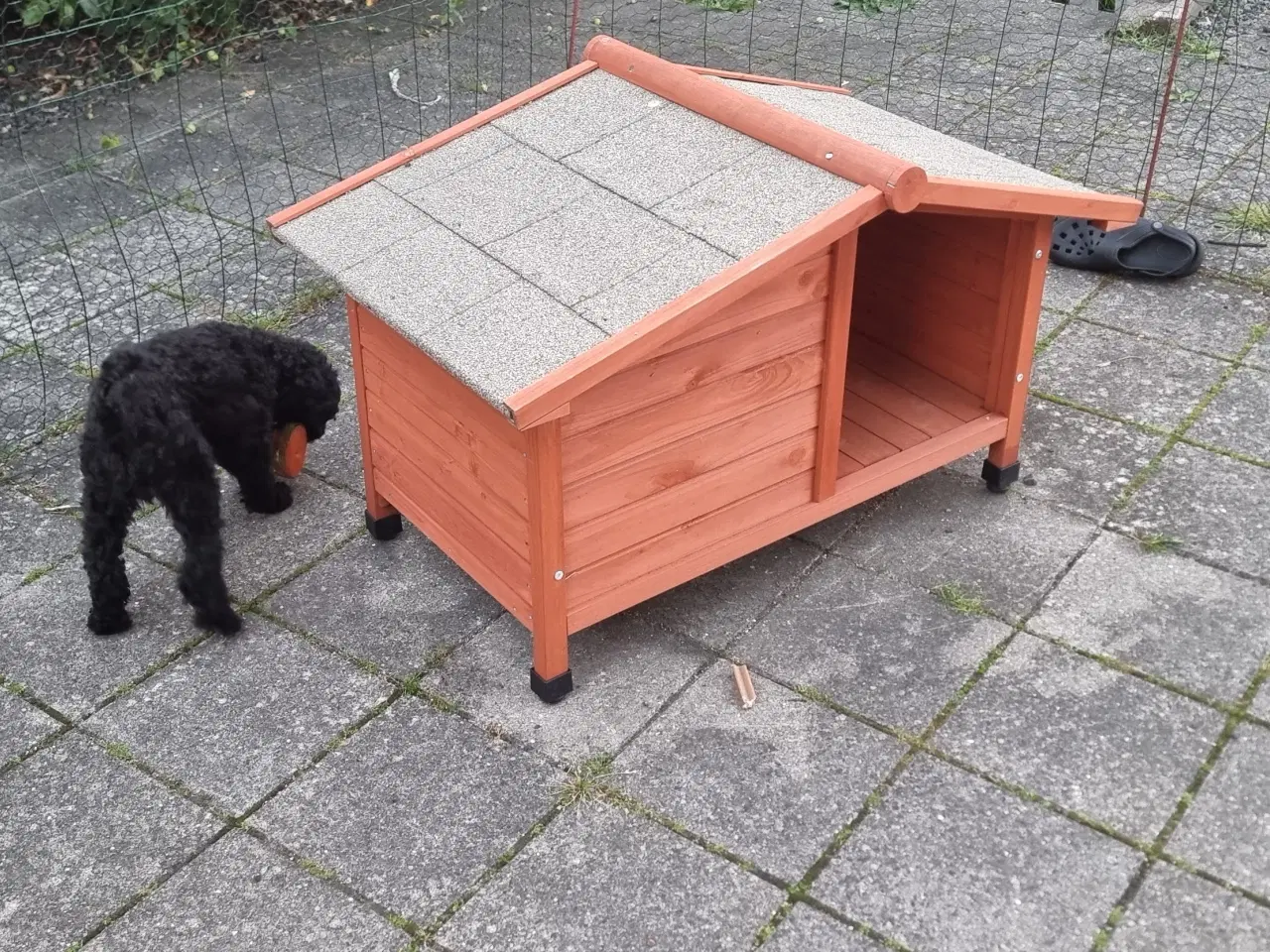 Billede 1 - Hundehus til små hunde.