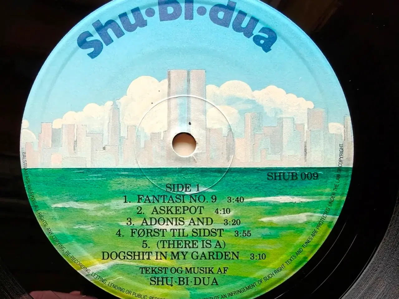 Billede 5 - LP, Shubidua x4