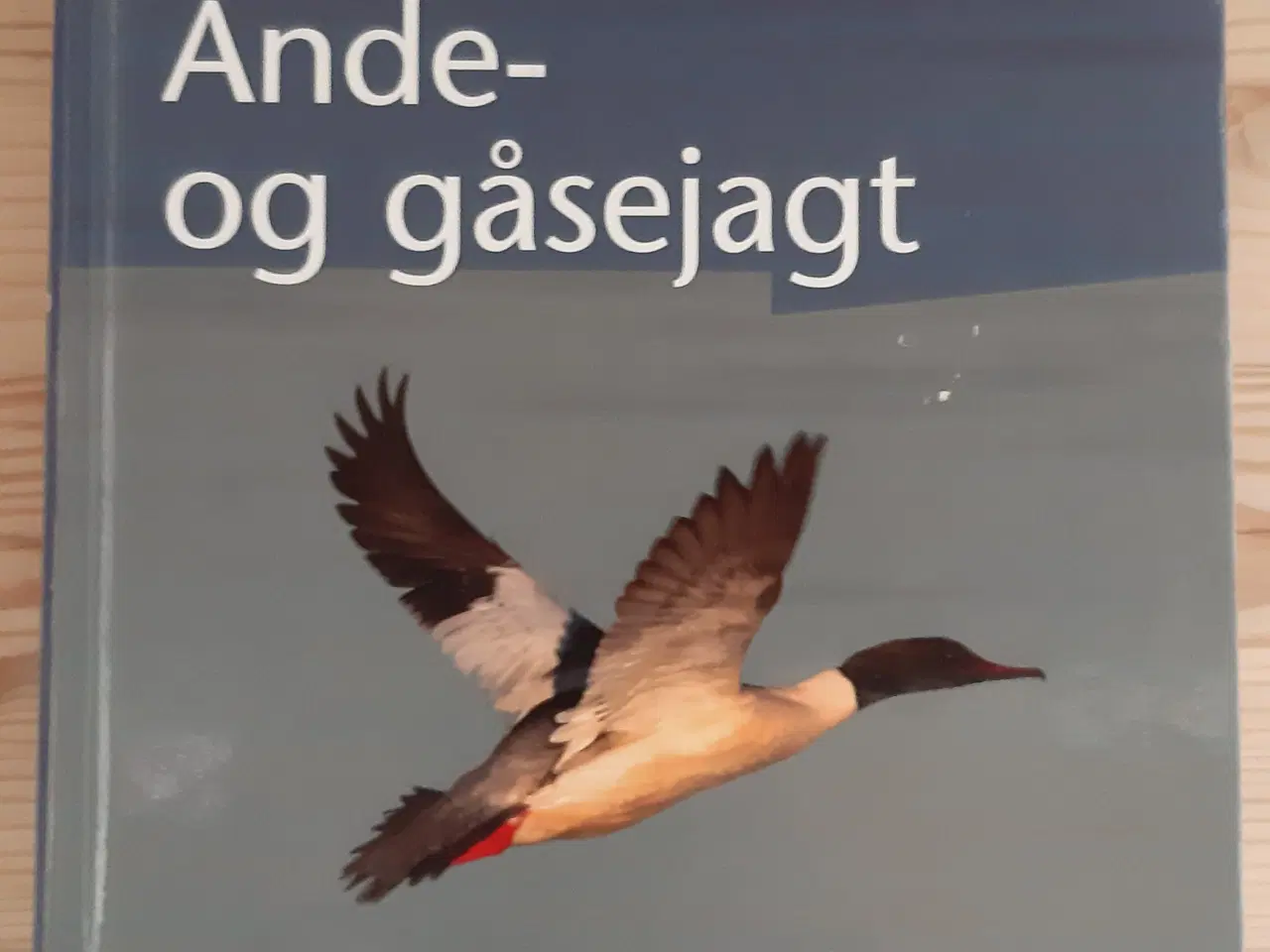 Billede 3 - Jagtbøger 3 stk. samlet.