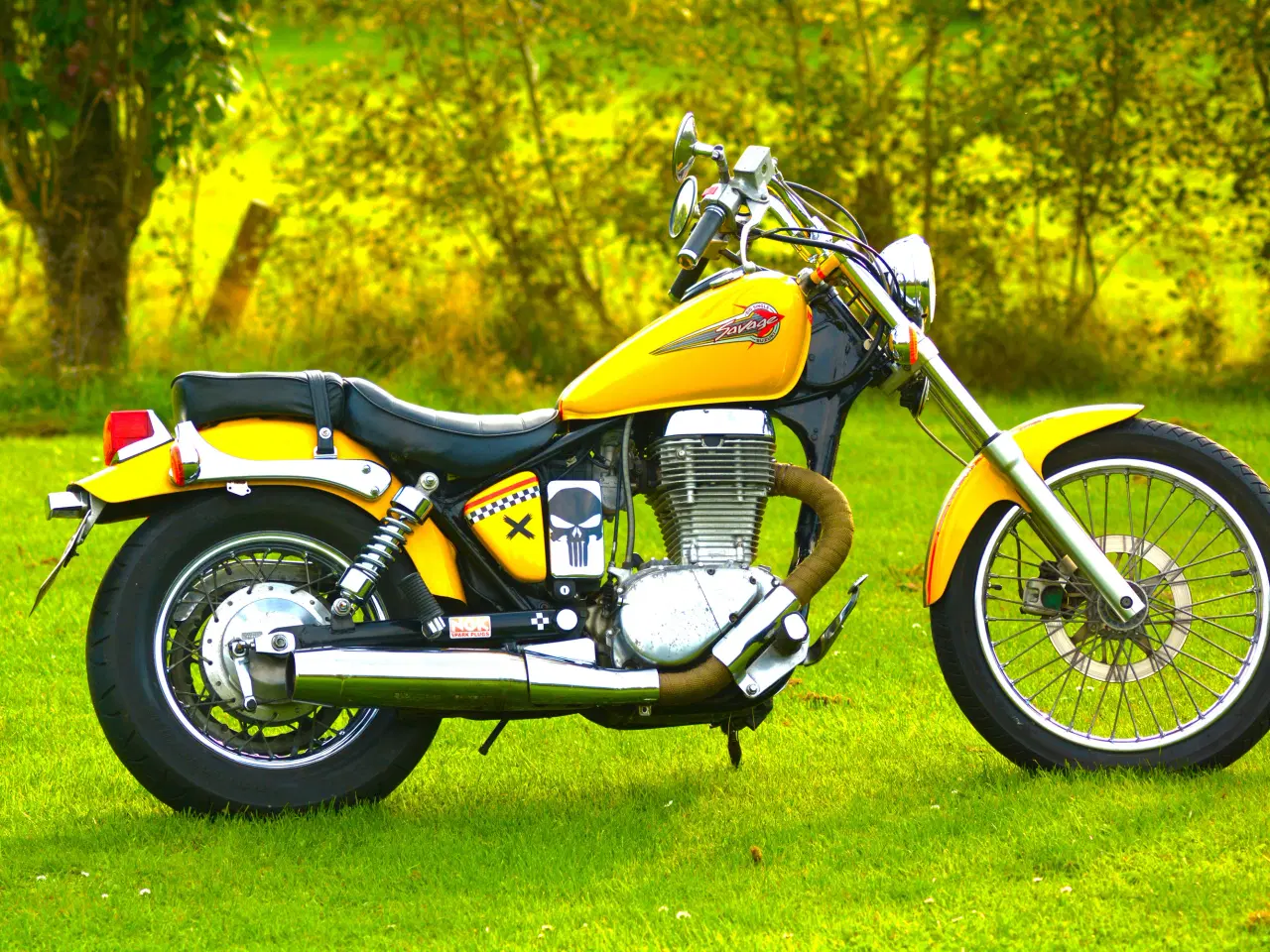 Billede 1 - Suzuki Savage LS 650