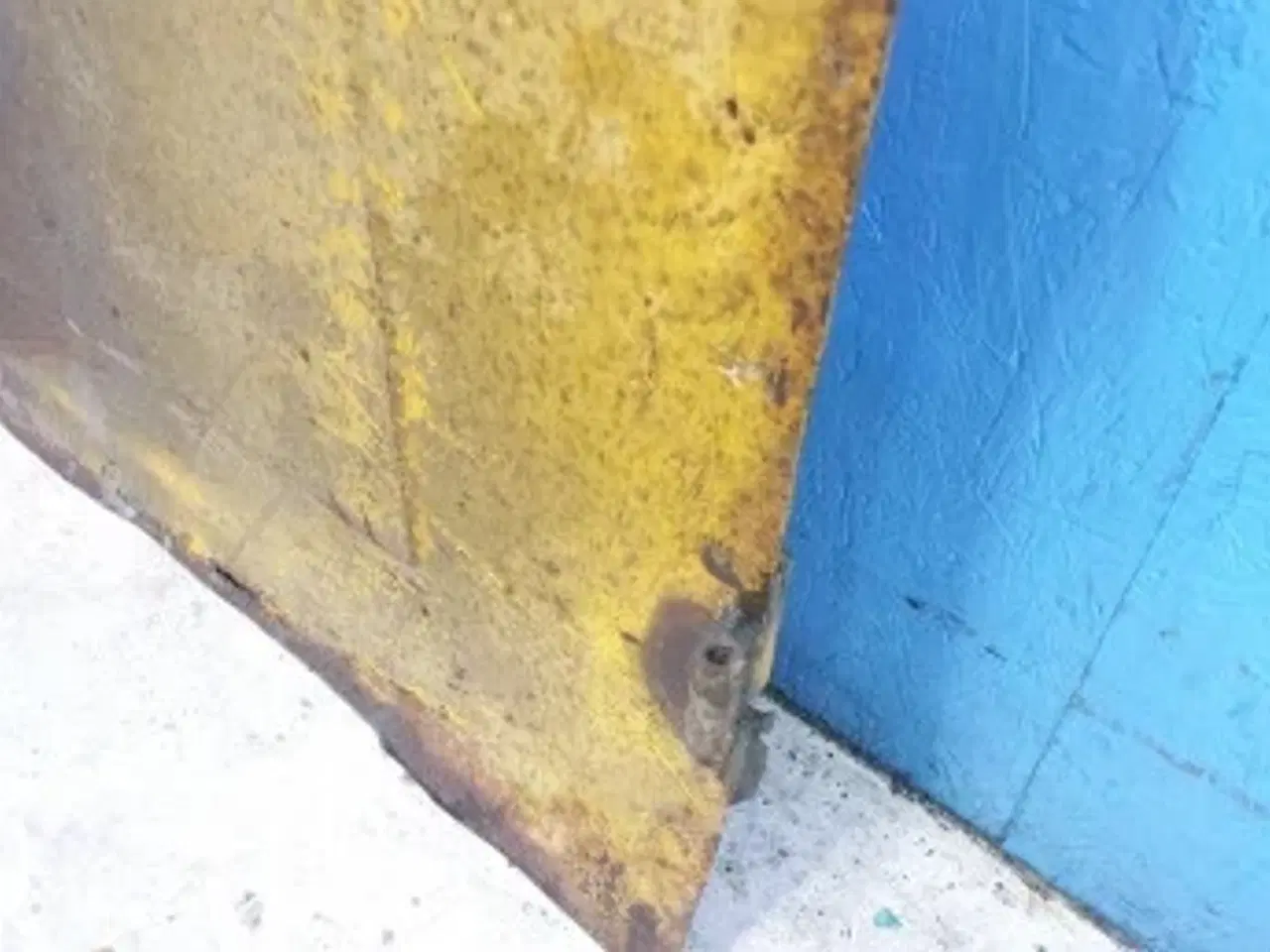 Billede 10 - Hanomag 44C Dør Højre 2946431M91 Stel 377610179