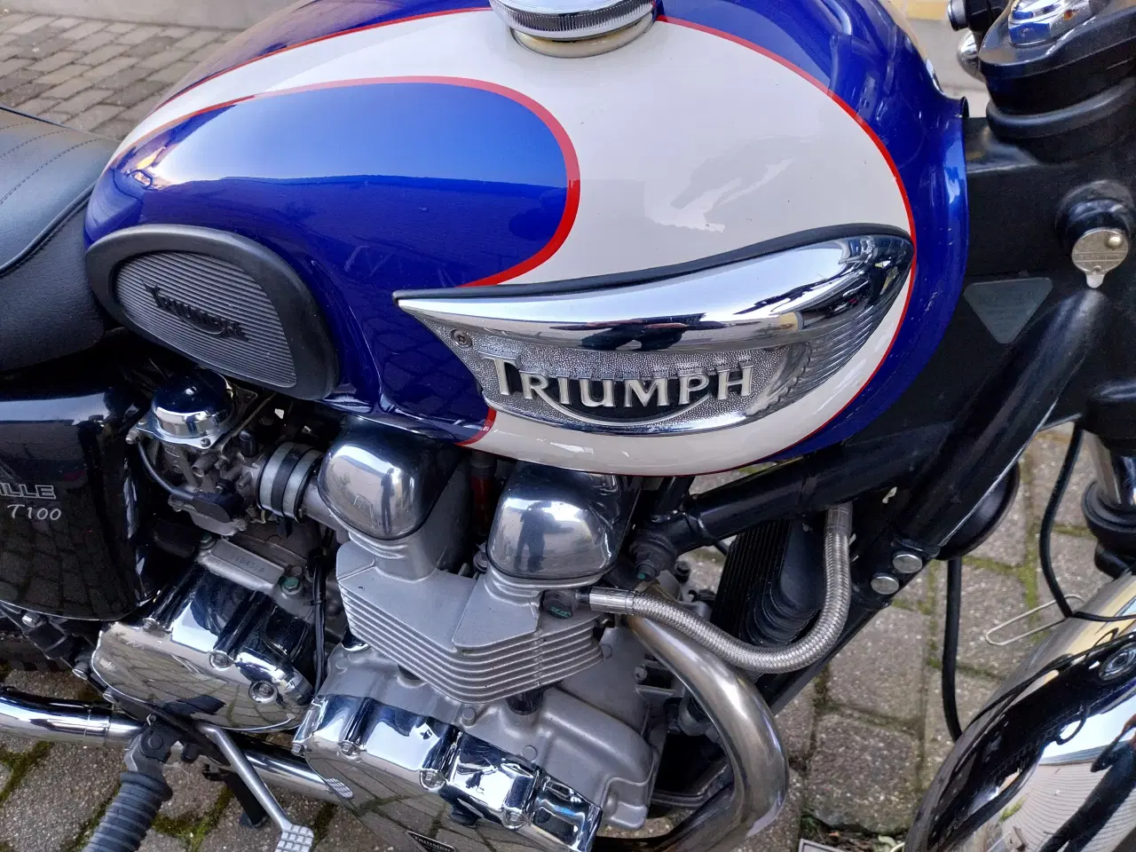 Billede 1 - triumph bonneville t100