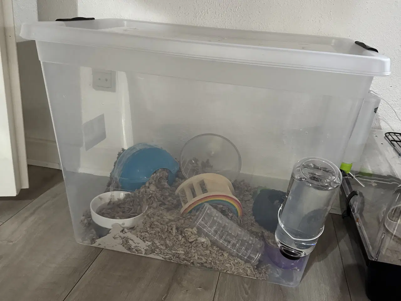 Billede 2 - 2 hamster 🐹 sælges