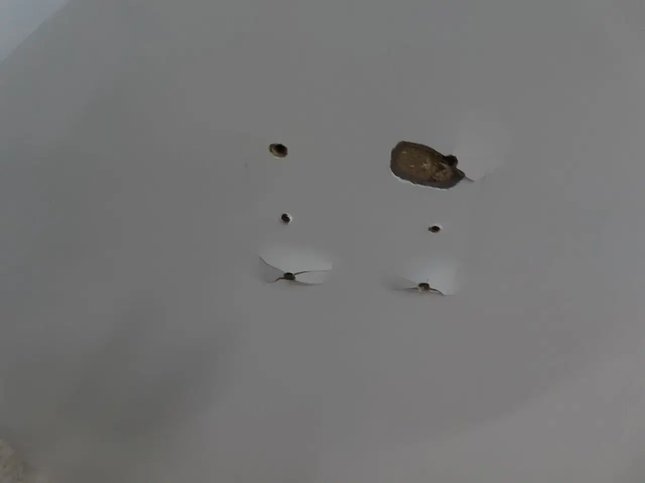 Billede 2 - Spisebord Superelipse PIET HEIN