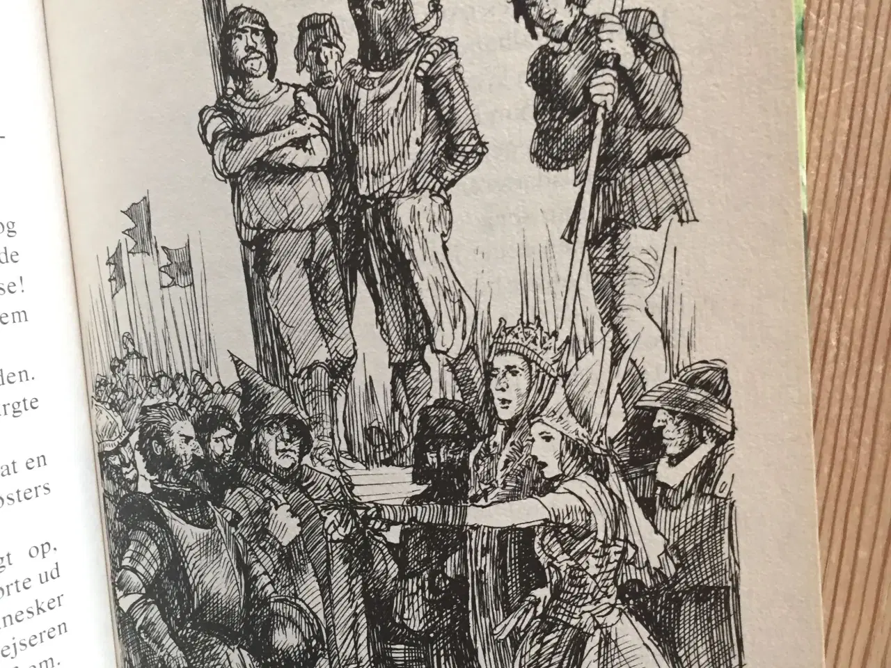 Billede 5 - Guldbøflen