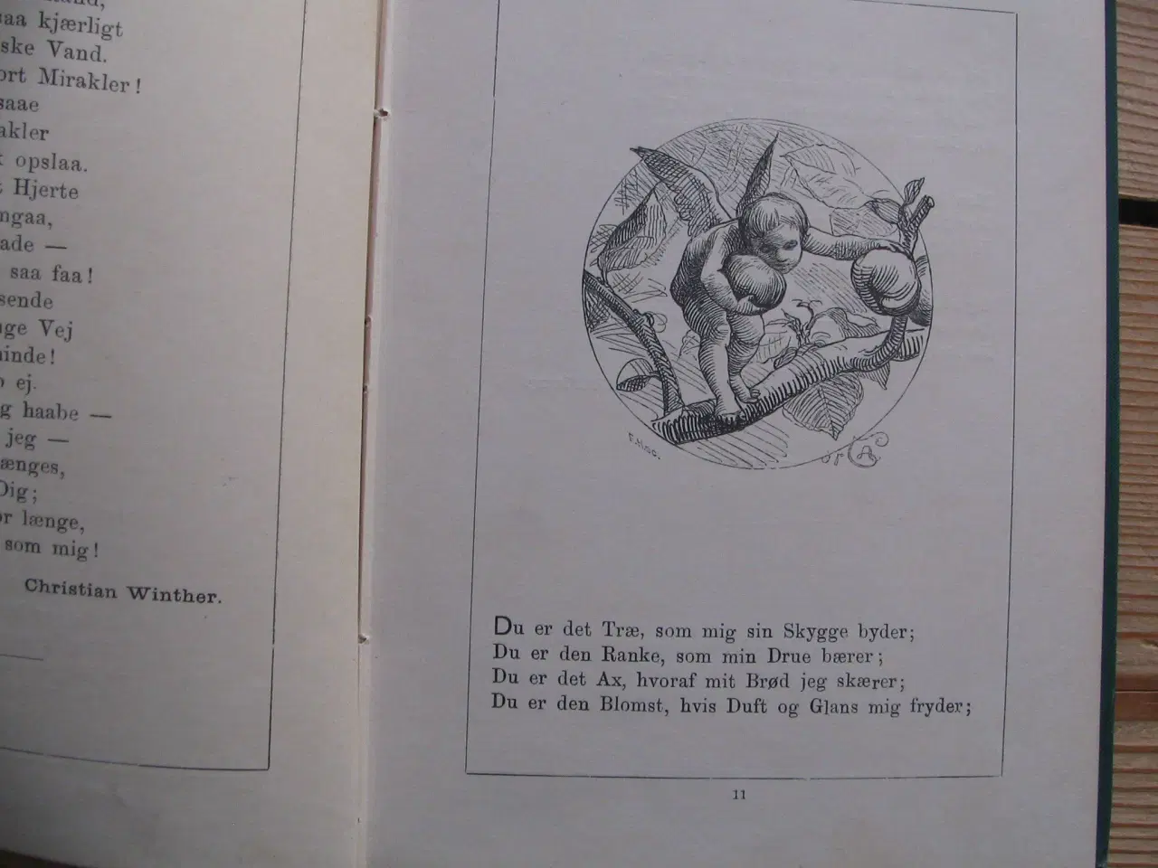 Billede 5 - Carl Andersen og F. Hendriksen, fra 1877