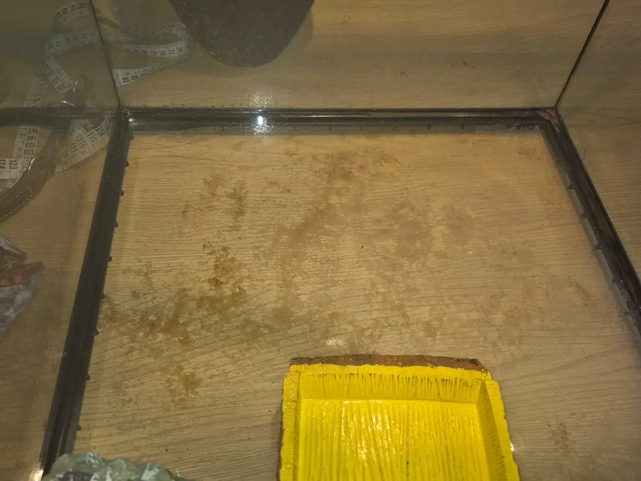 Billede 2 - Terrarie 45×45×45