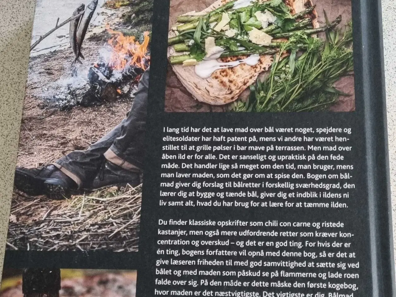 Billede 2 - Bog om bålmad