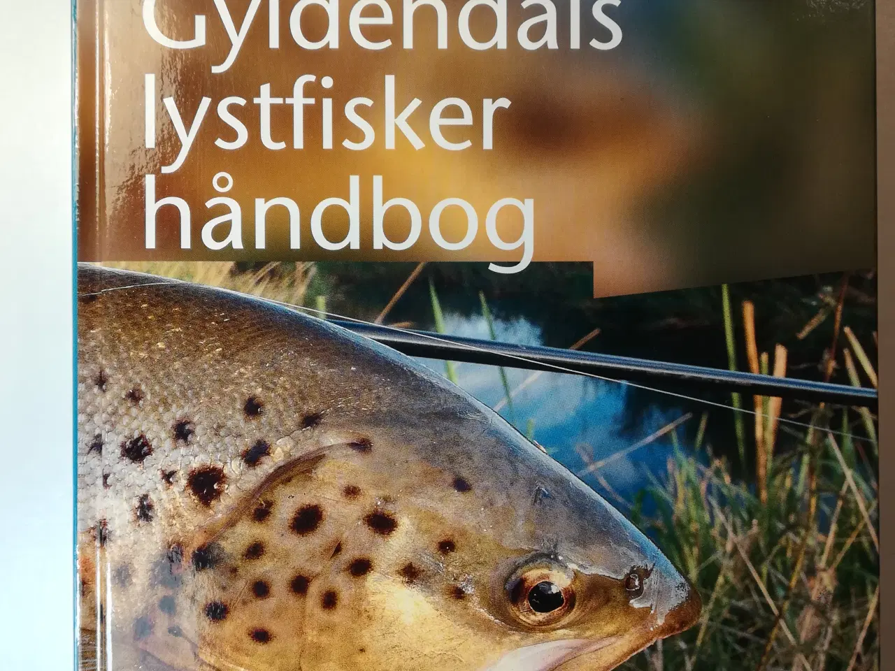 Billede 1 - Gyldendals lystfiskerhåndbog -fremtræder som ulæst