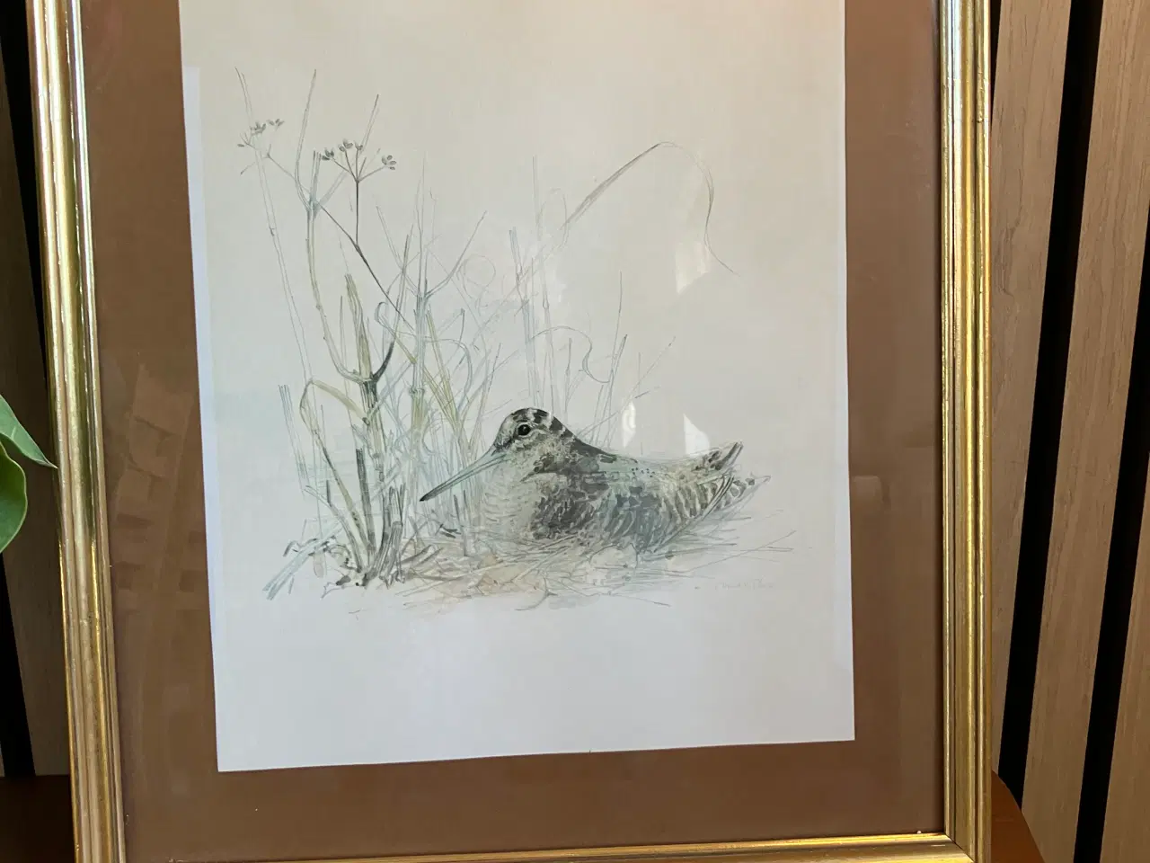 Billede 2 - Vintage Mads Stage billede af skovsneppe i græs.