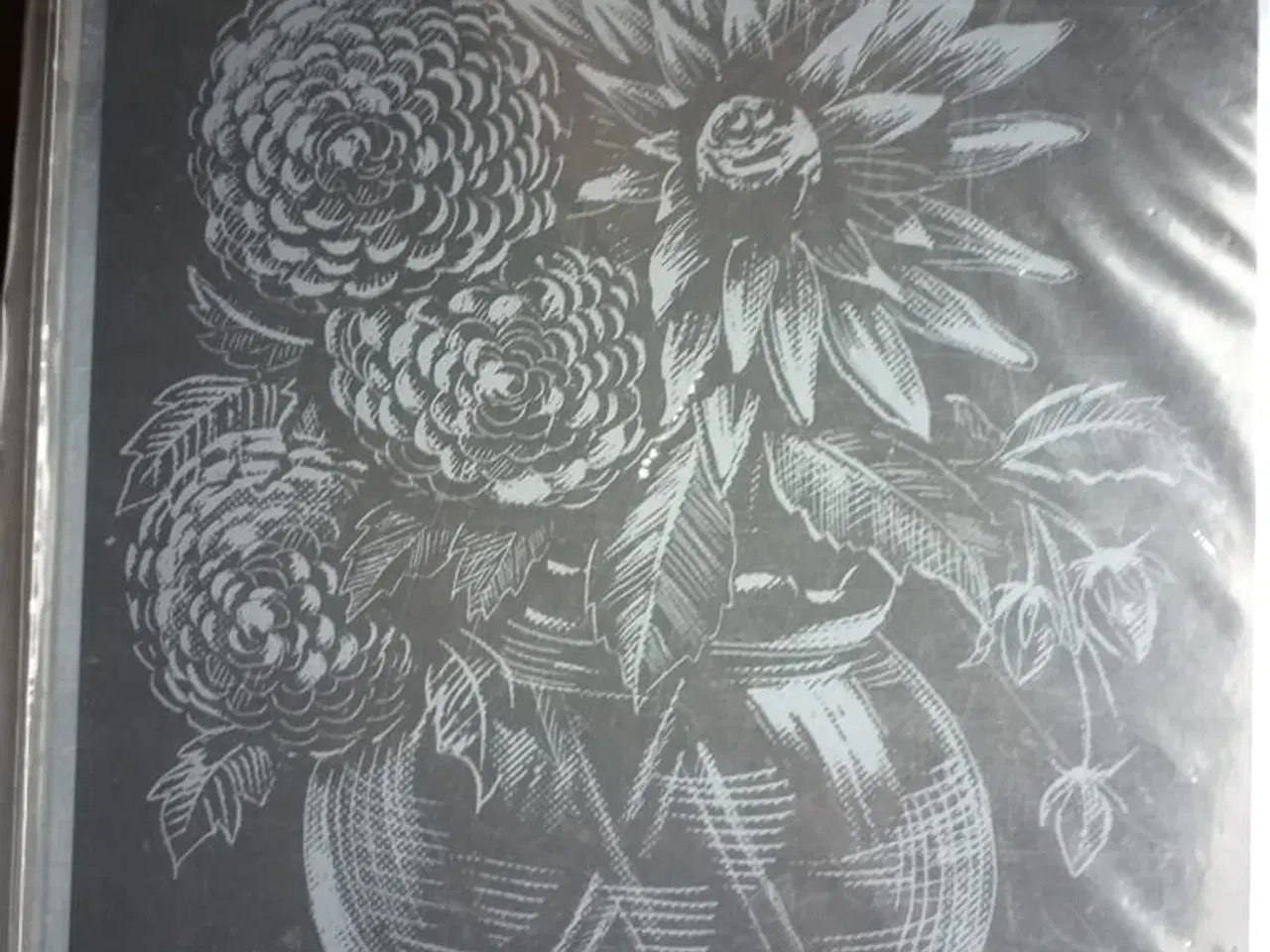 Billede 3 - Skrab billeder