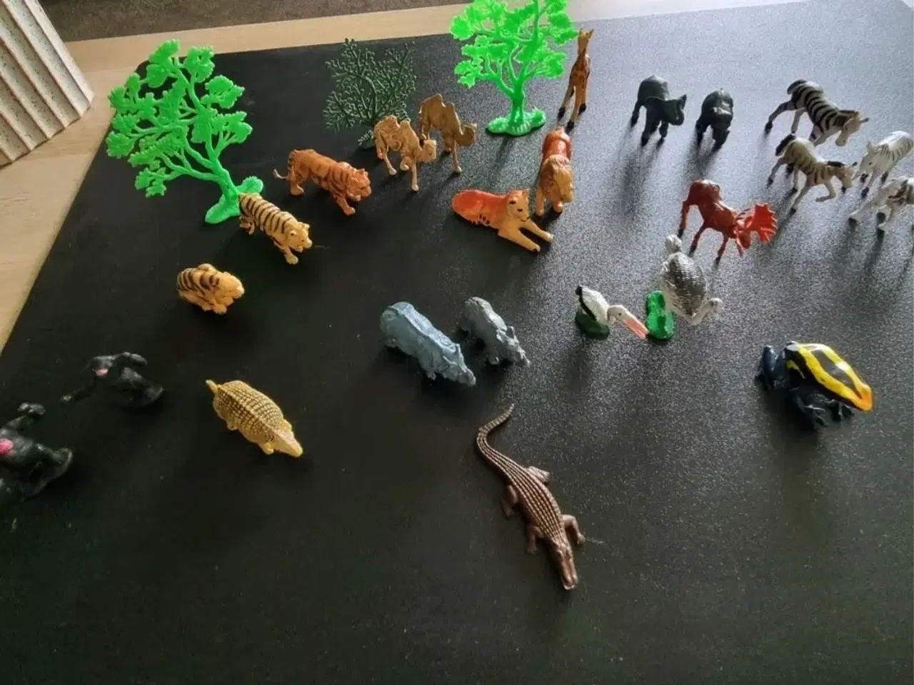 Billede 1 - Vintage dyr Zoologisk Have