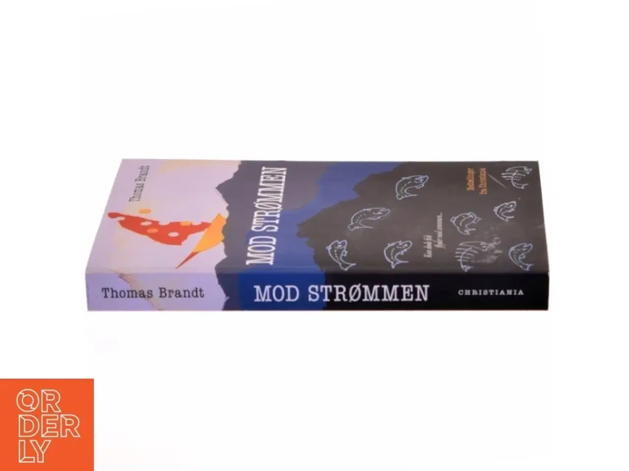 Billede 2 - Mod strømmen, Thomas Brandt