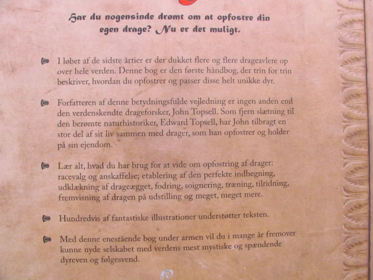 Billede 8 - Sådan opdrætter og holder du drager