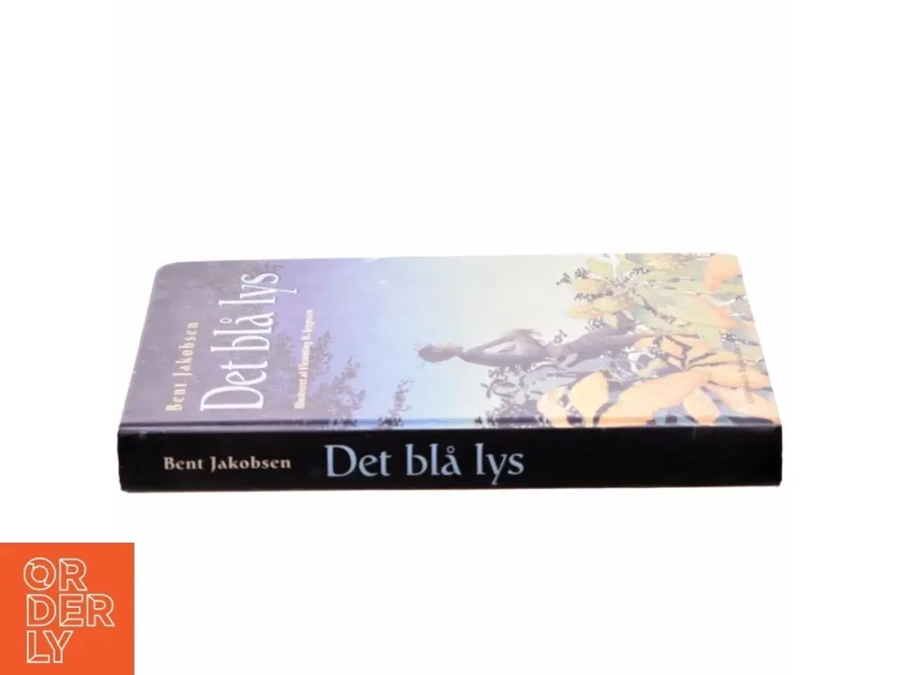 Billede 2 - Det blå lys af Bent Jakobsen (f. 1959-08-21) (Bog)