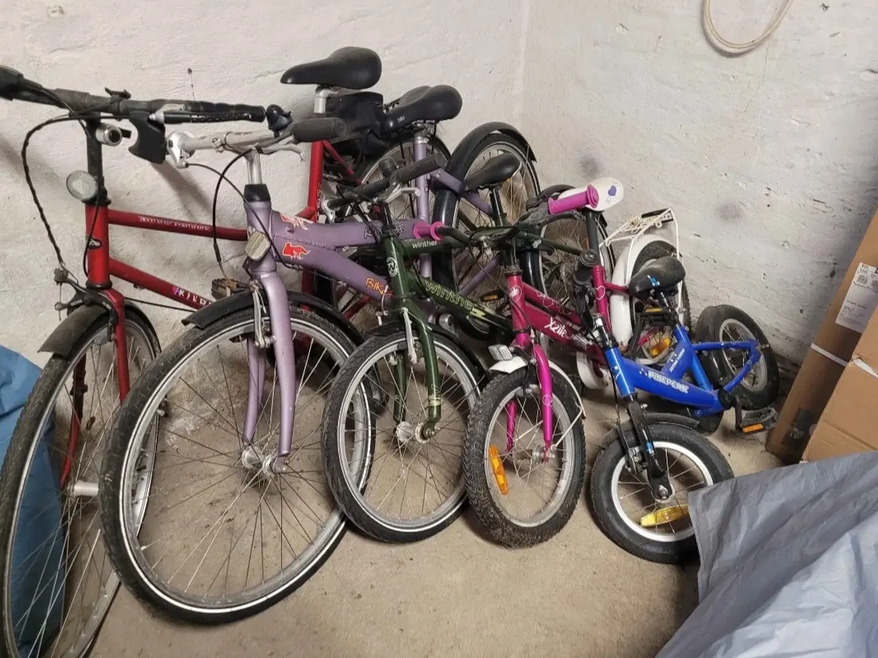 Billede 1 - Pige- & Drenge cykler sælges