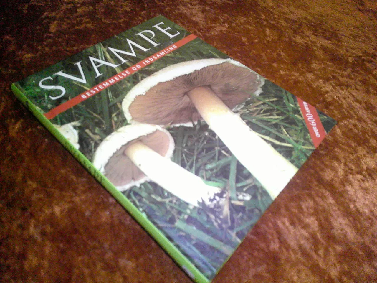 Billede 1 - Svampe, R. Lohmeyer, Ute Künkele