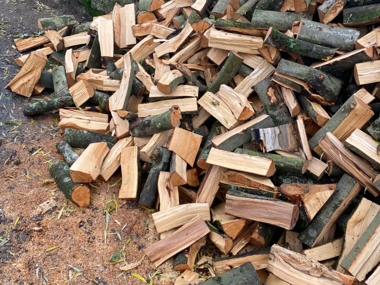 Billede 2 - Brænde Bøg og eg ny skovet