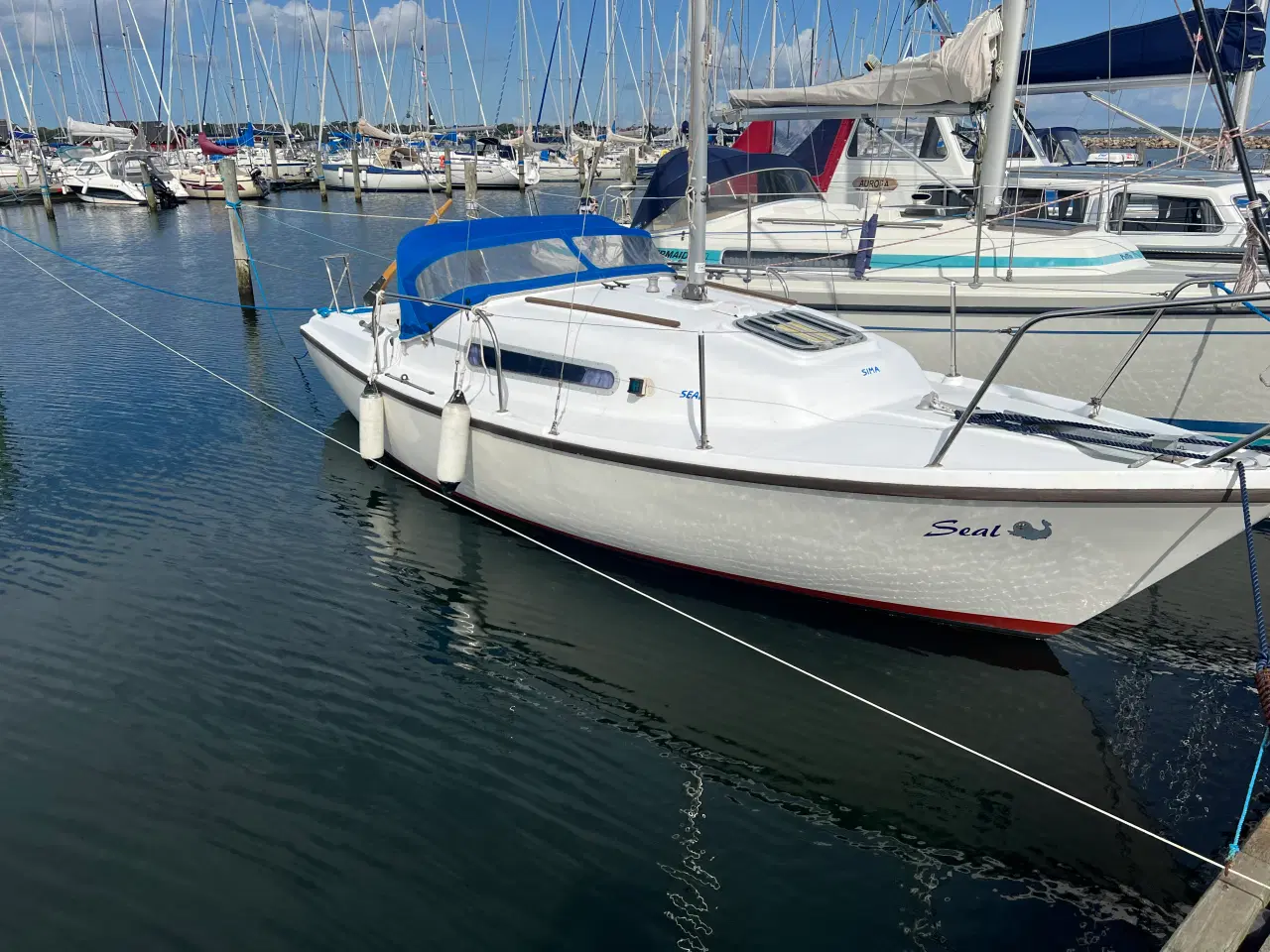 Billede 4 - 21 fods seal sejlbåd med sænkekøl