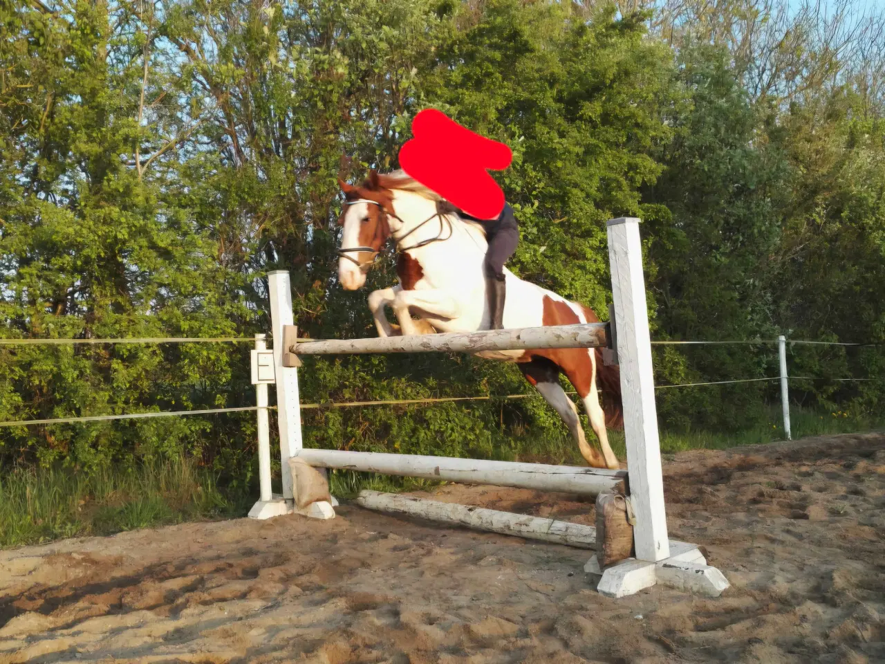 Billede 4 - Pony