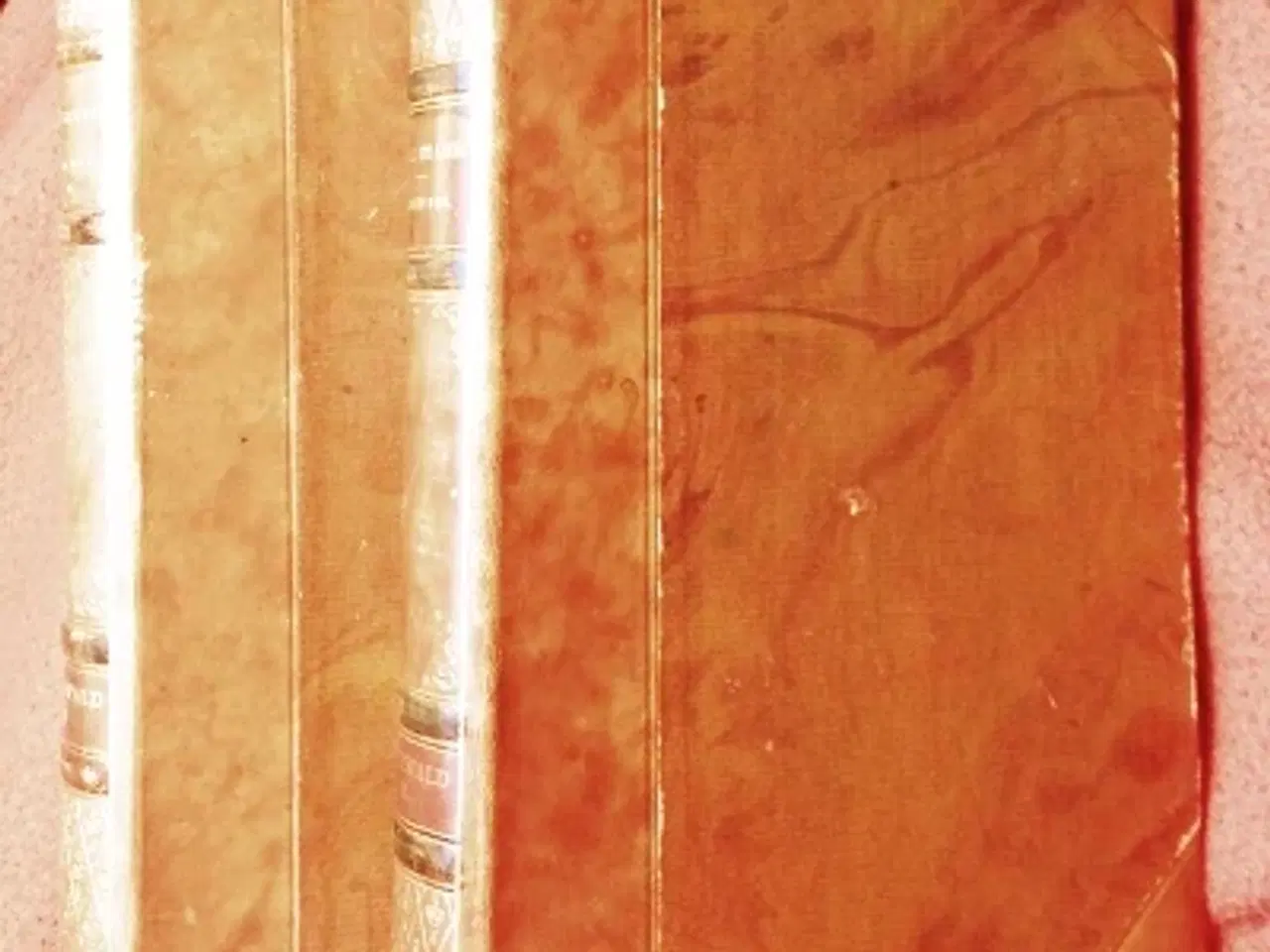 Billede 1 - H. F. Ewald: Niels Brahe