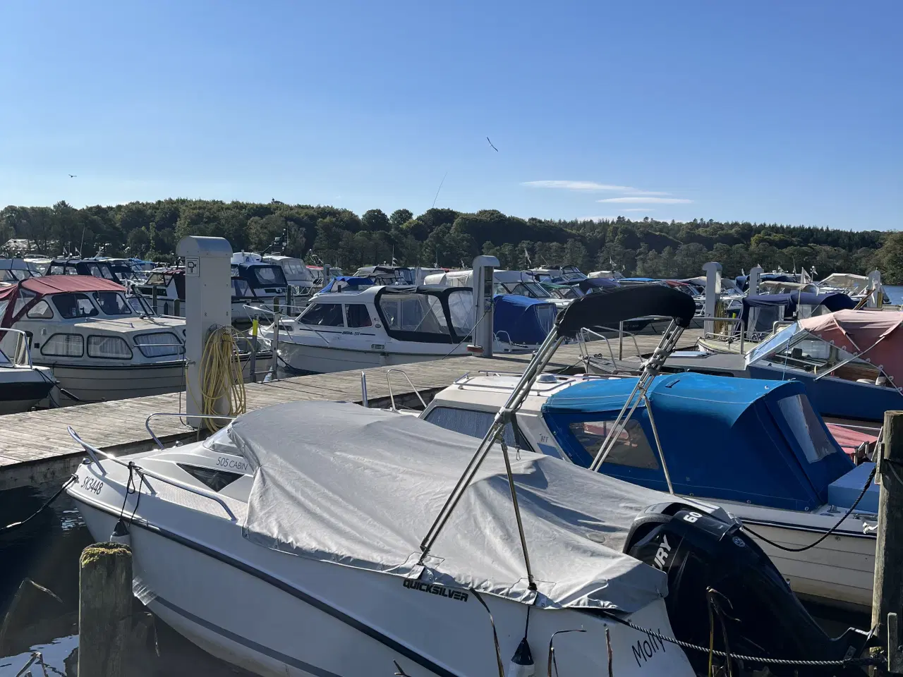 Billede 11 - QuickSilver Activ 505 Cabin