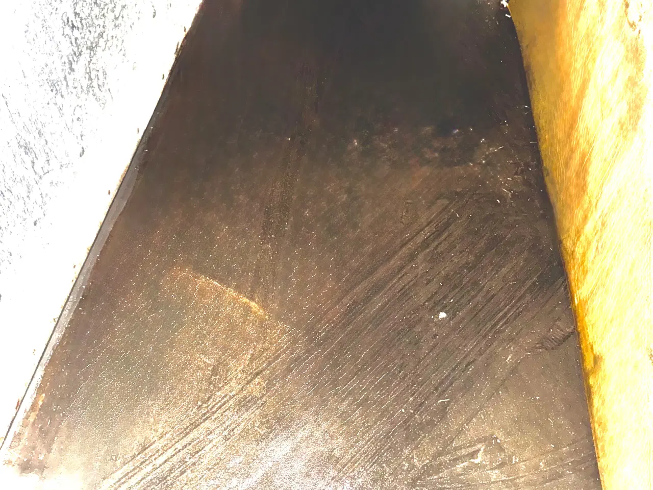 Billede 10 - Brenderup hestetrailer 