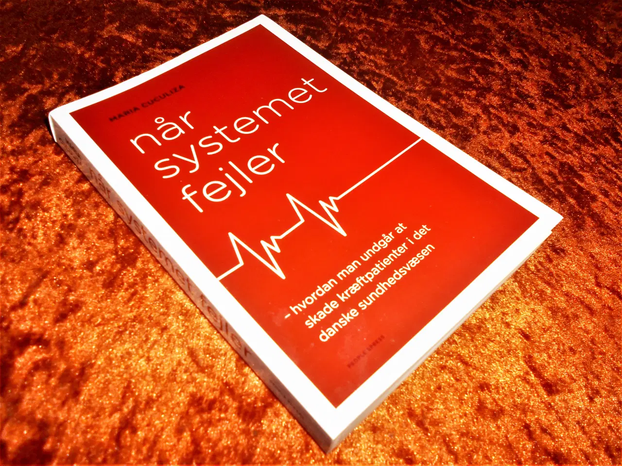 Billede 1 - Når systemet fejler,  Maria Cuculiza,