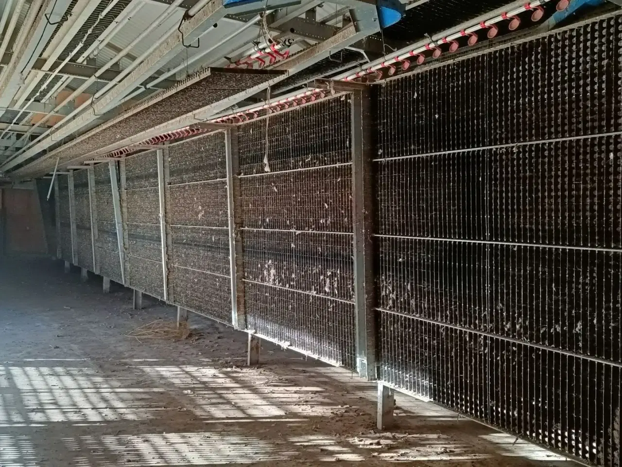 Billede 3 - - - - Fjerkræ opdrætssytem, (inventar) til  ca. 6500 stk.