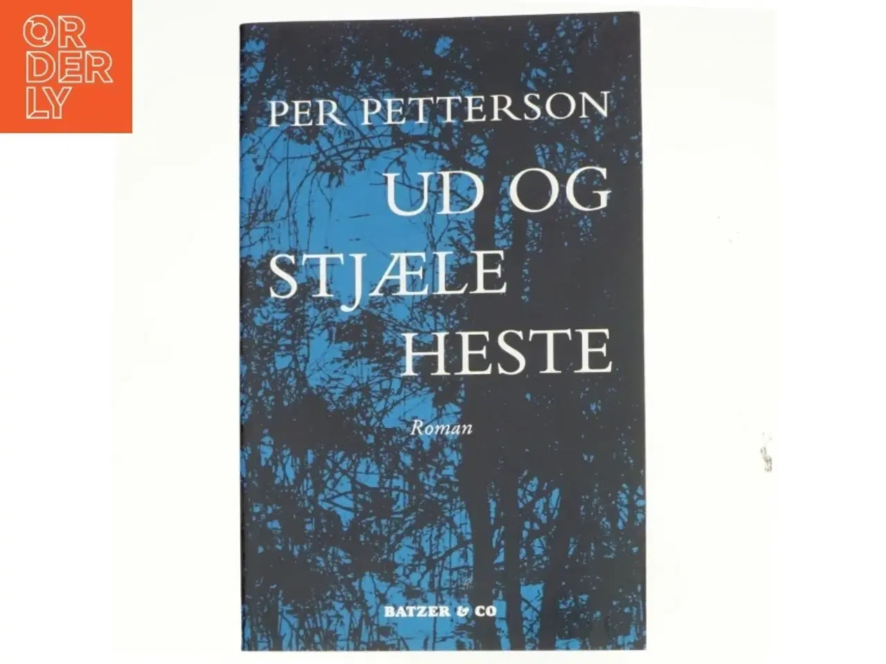 Billede 1 - Ud og stjæle heste : roman (Bog)