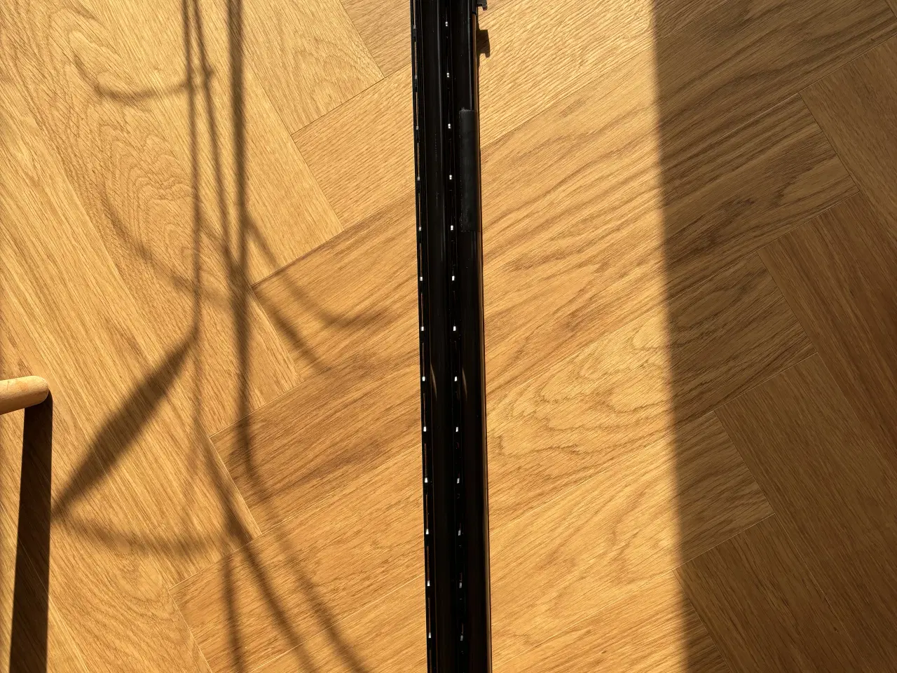 Billede 3 - Løb til Zoli 81 cm