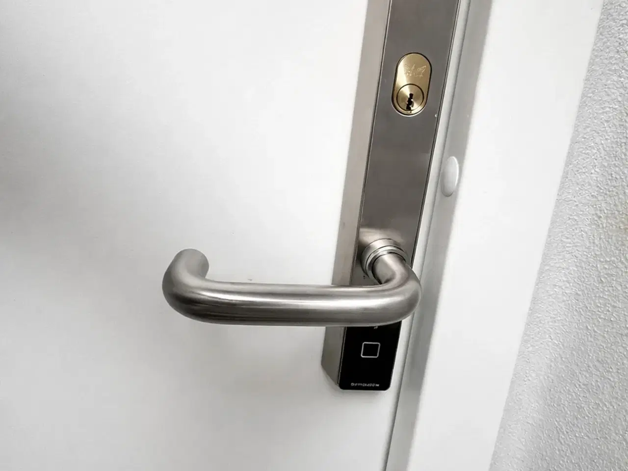 Billede 4 - Højloftet flotte kælderlokaler på Frederiksberg