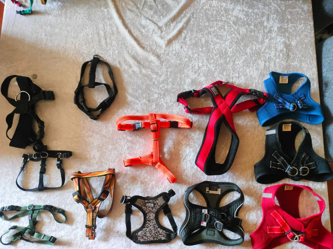 Billede 1 - Hundeseler sælges – Stort udvalg! 🐾