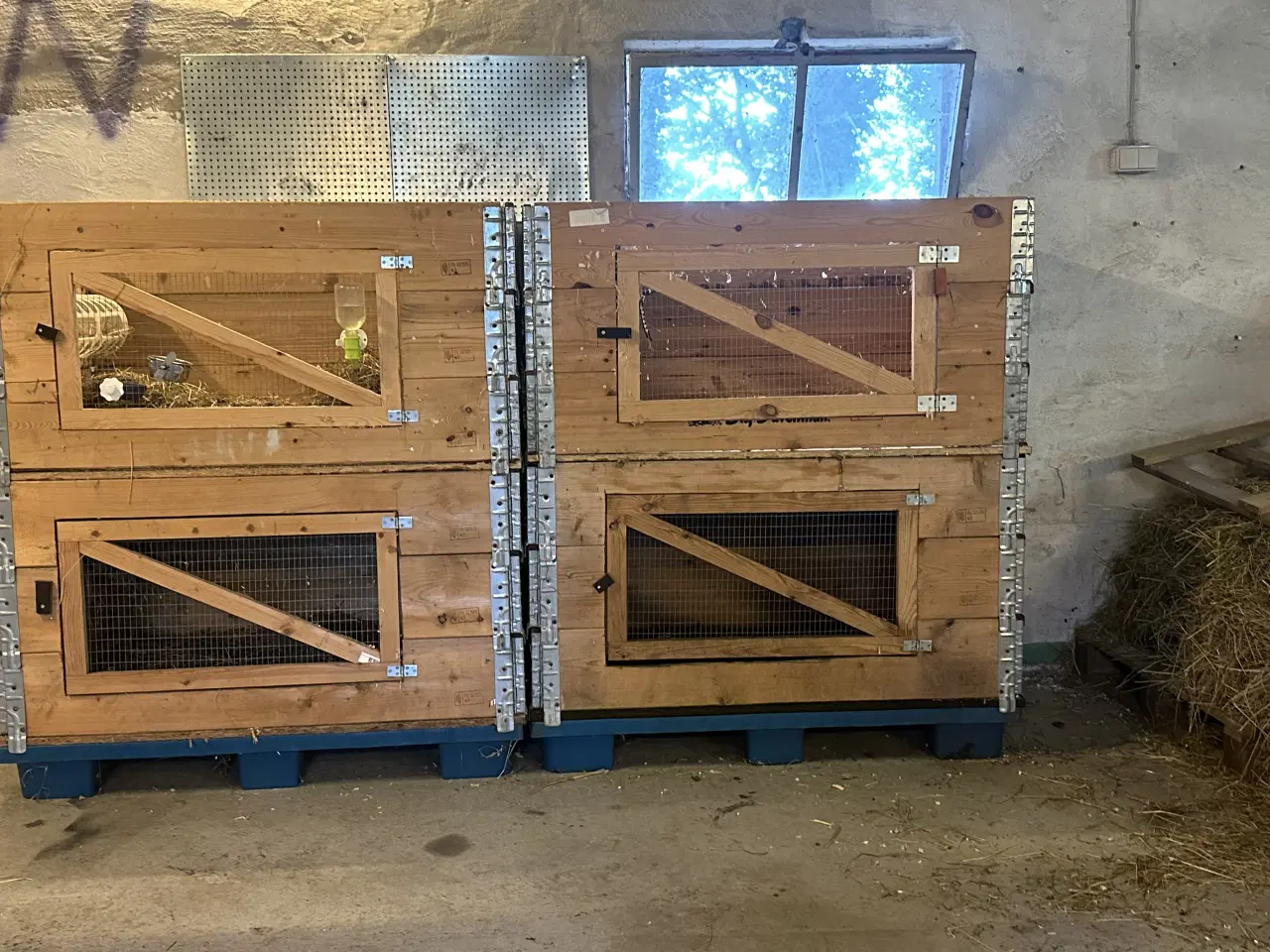 Billede 1 - Kaninbur eller marsvinbur 