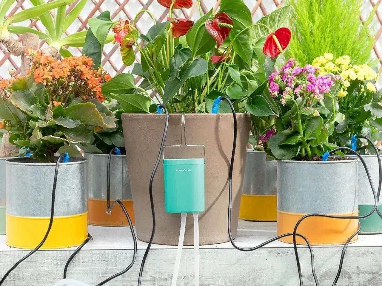 Billede 1 - Automatisk vandingssystem til potteplanter Regott InnovaGoods