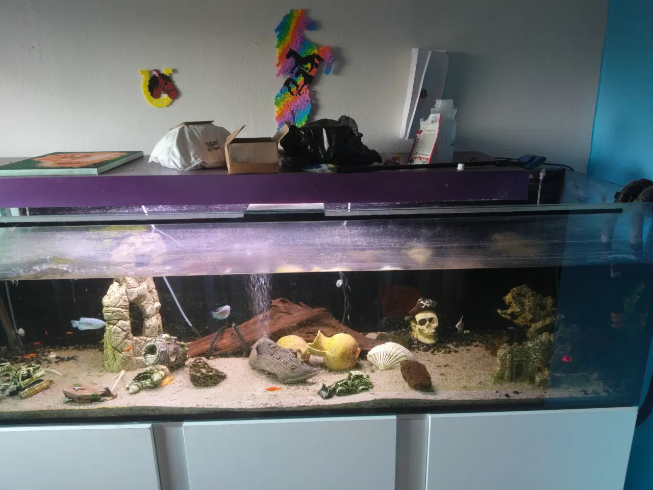 Billede 1 - 720 liters akvarie med alt 