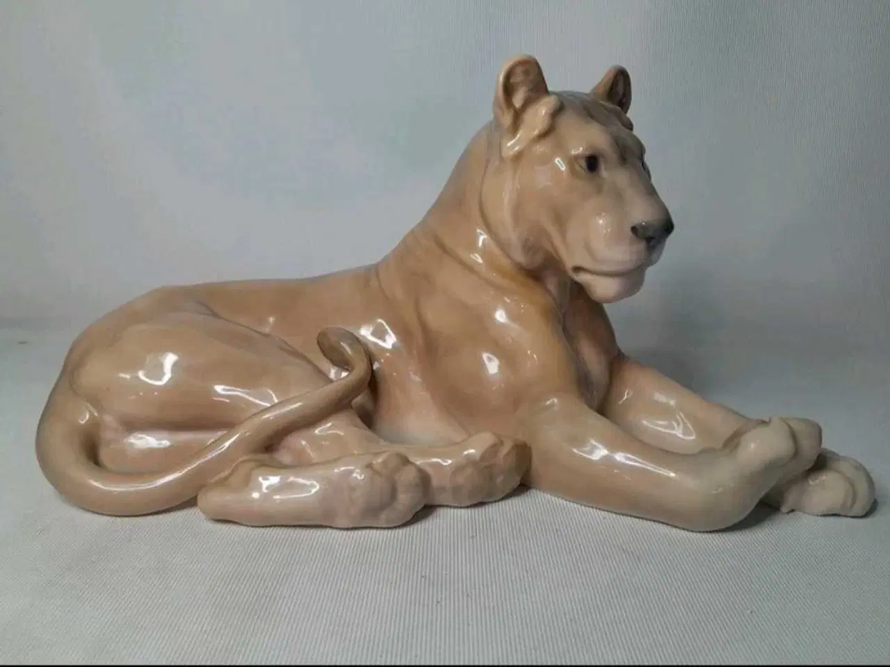 Billede 1 - Royal Copenhagen Hunløve #804.
