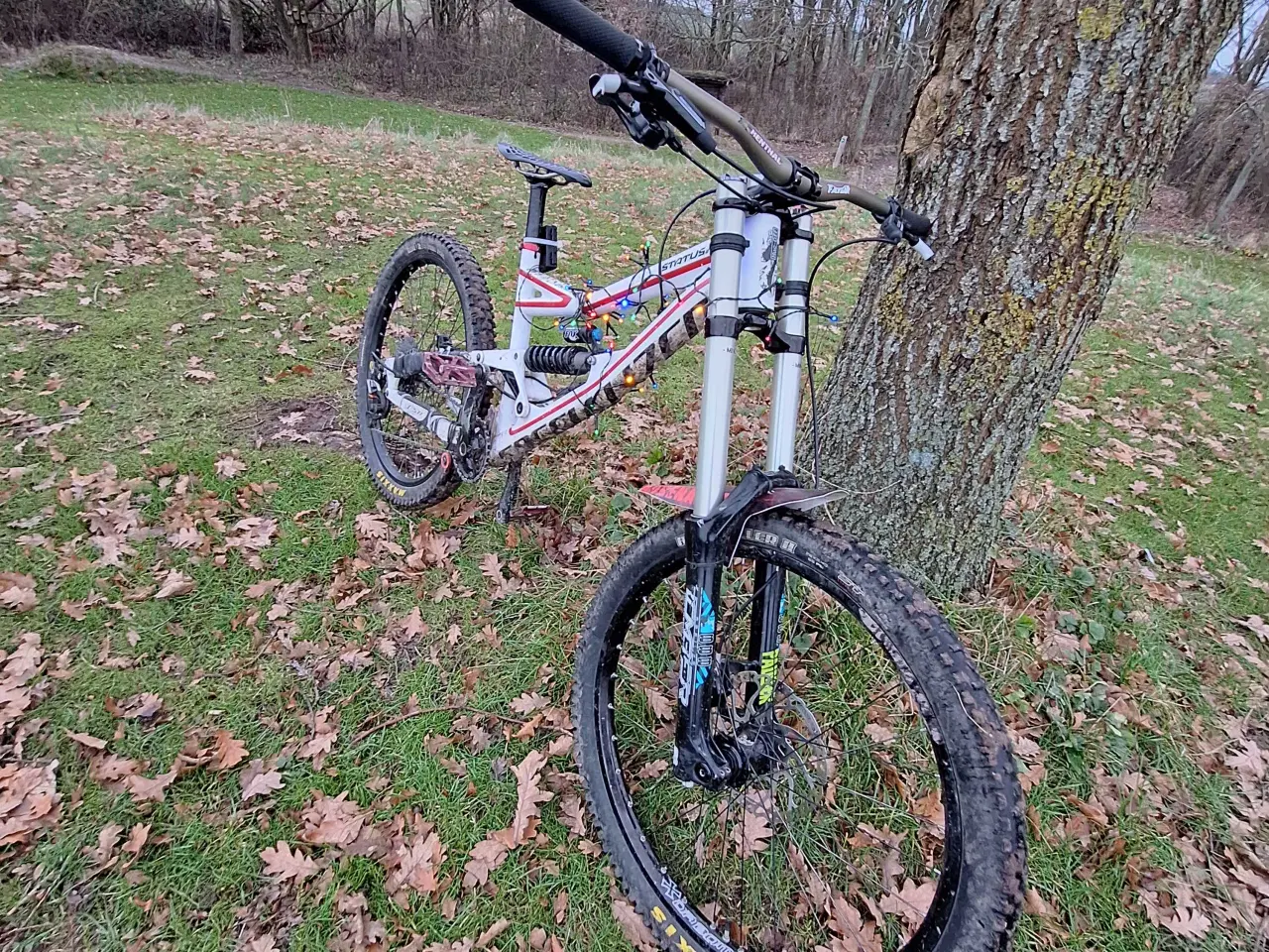 Billede 2 - Specialized status 2 2012 dh 