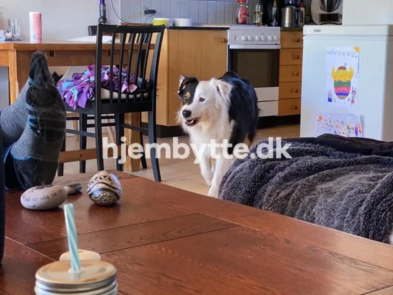 Billede 1 - Hjembytte - Gørtlervej