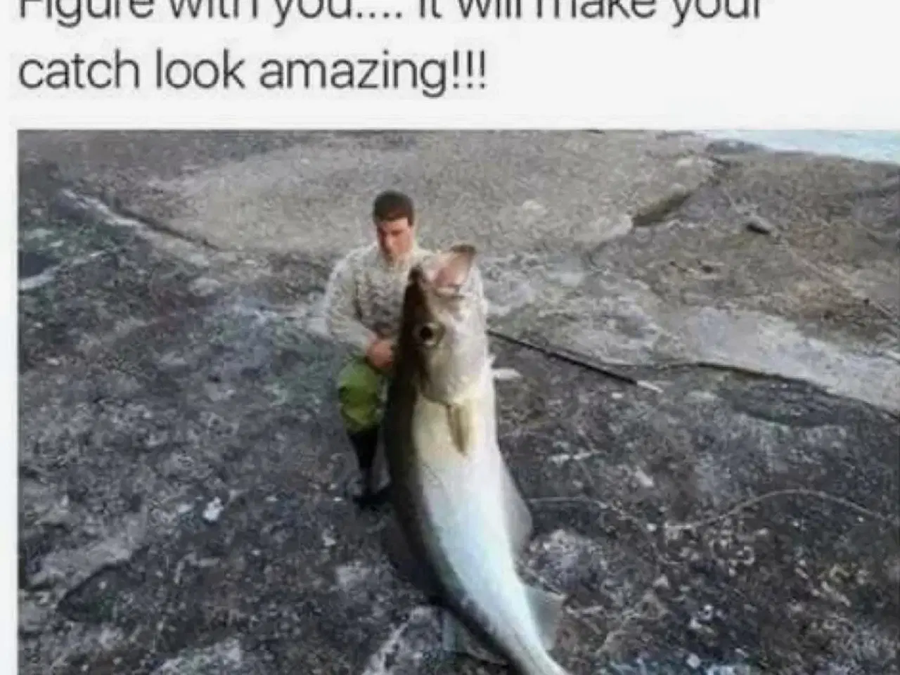 Billede 1 - Modtager fisk