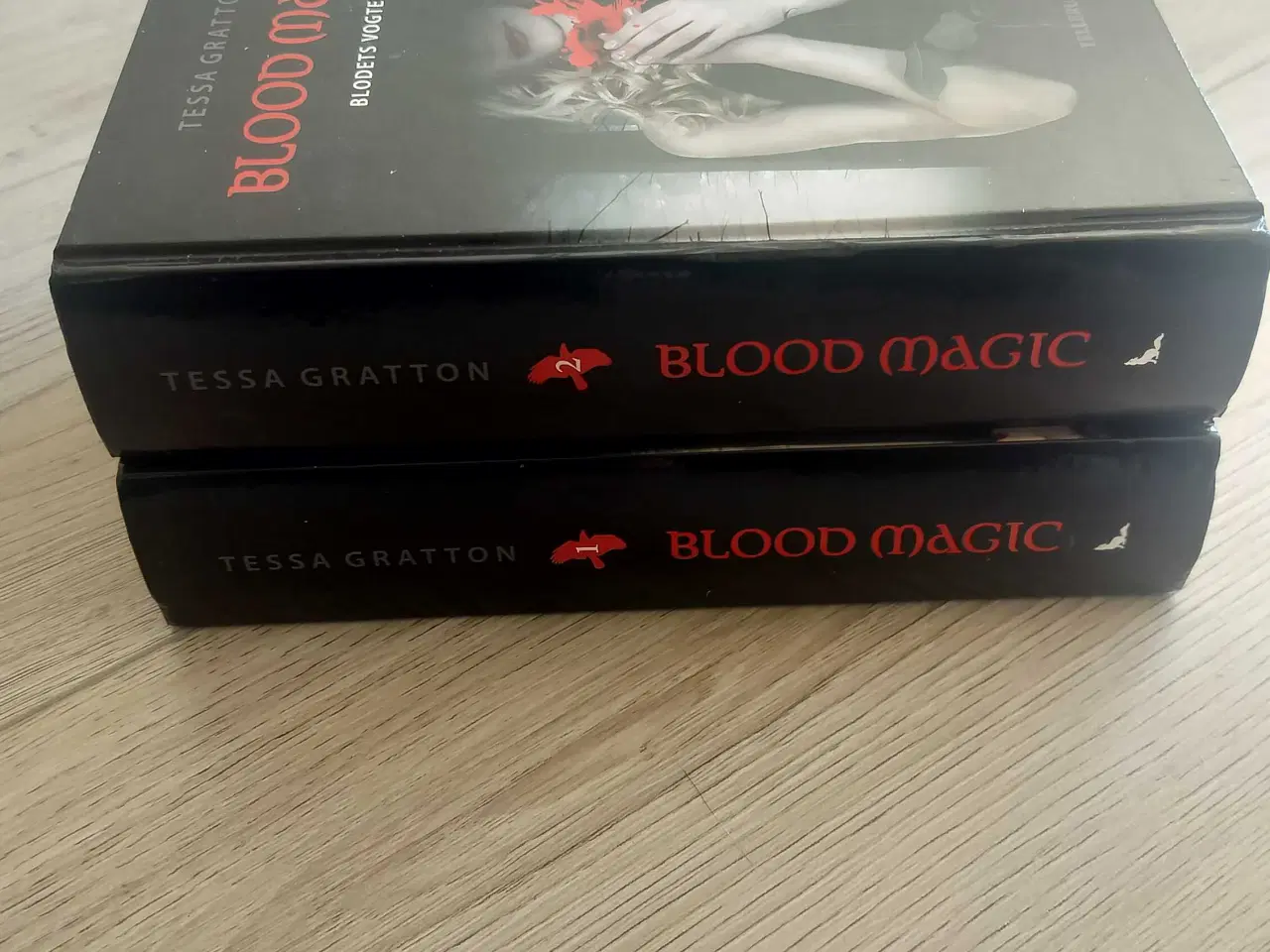 Billede 1 - Blood magic af Tessa Gratton 