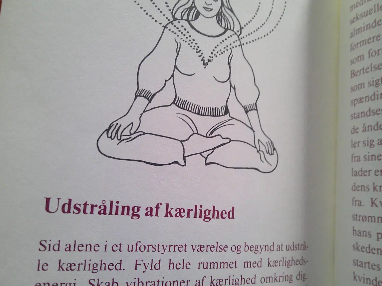 Billede 3 - Fornøjelige bevidsthedsøvelser, Deva Satyarthi 