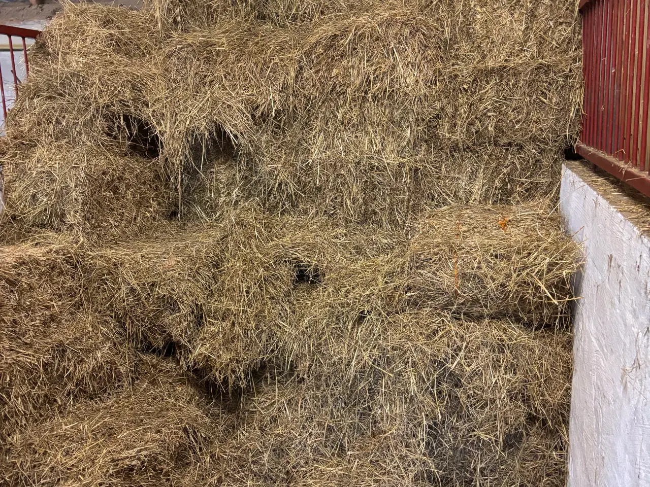 Billede 1 - Hø fra juli 2025