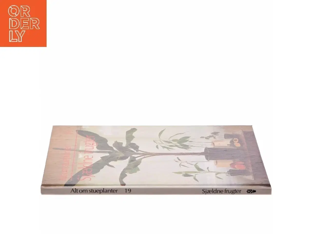 Billede 2 - Sjældne frugter (Bog)