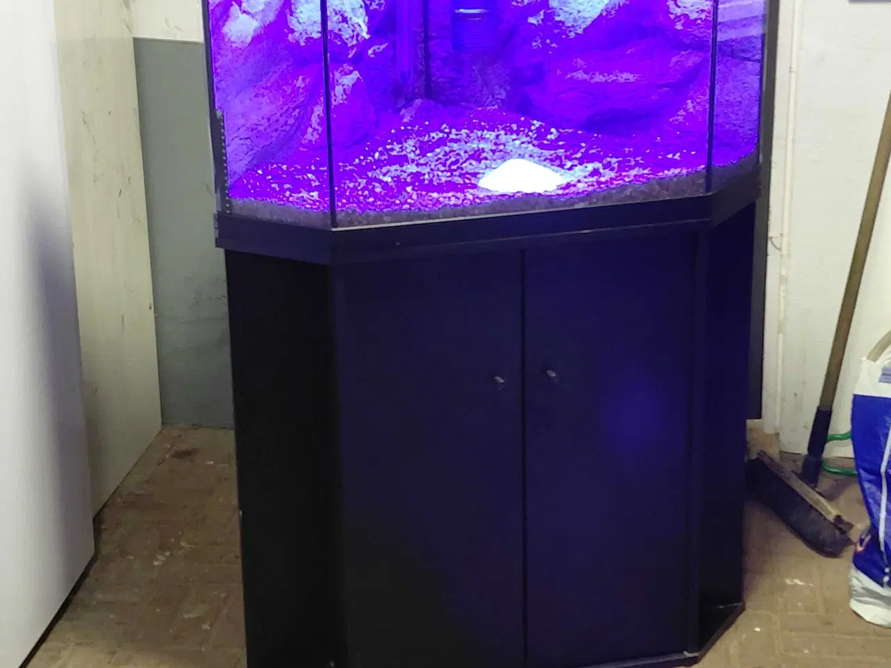 Billede 8 - Hjørneakvarie 100L 