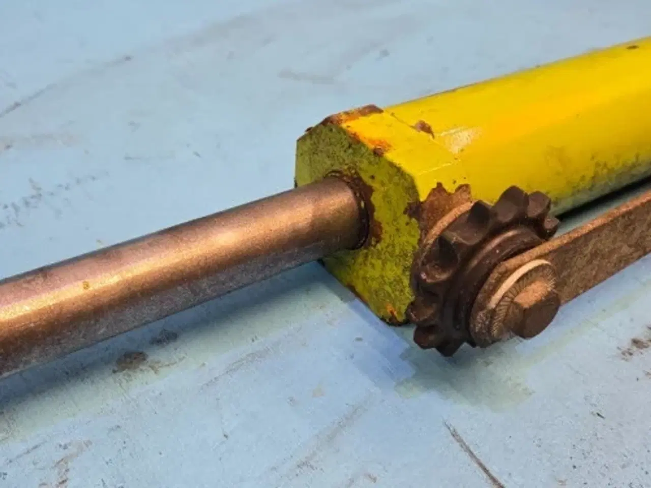 Billede 4 - Claas Jaguar 850 Cylinder 9878592