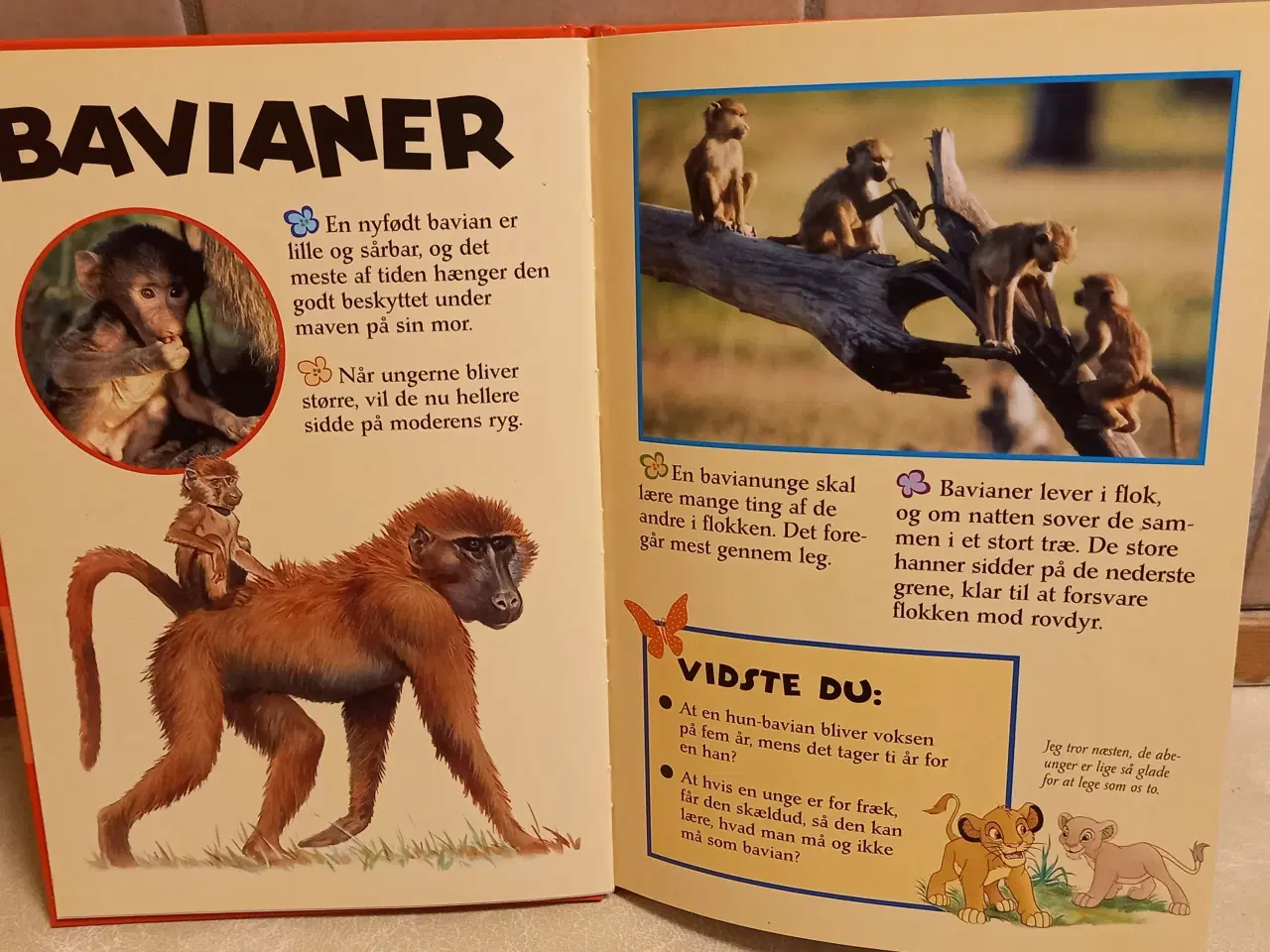 Billede 7 - Disney bøger: 101 dalmatinere, Lær om dyrebørn og 