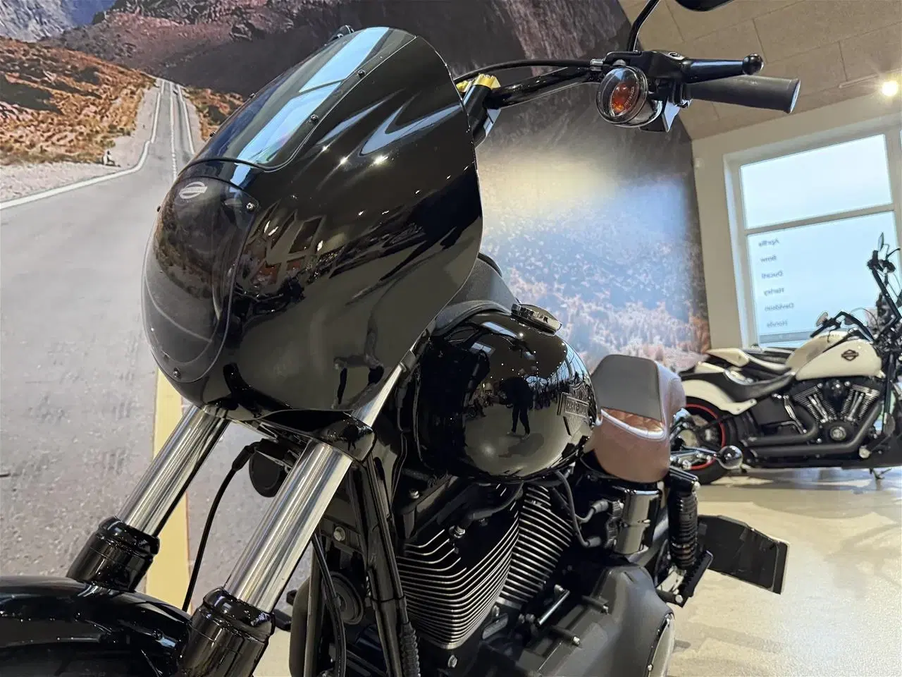 Billede 19 - Harley-Davidson FXDLS Dyna Low Rider S