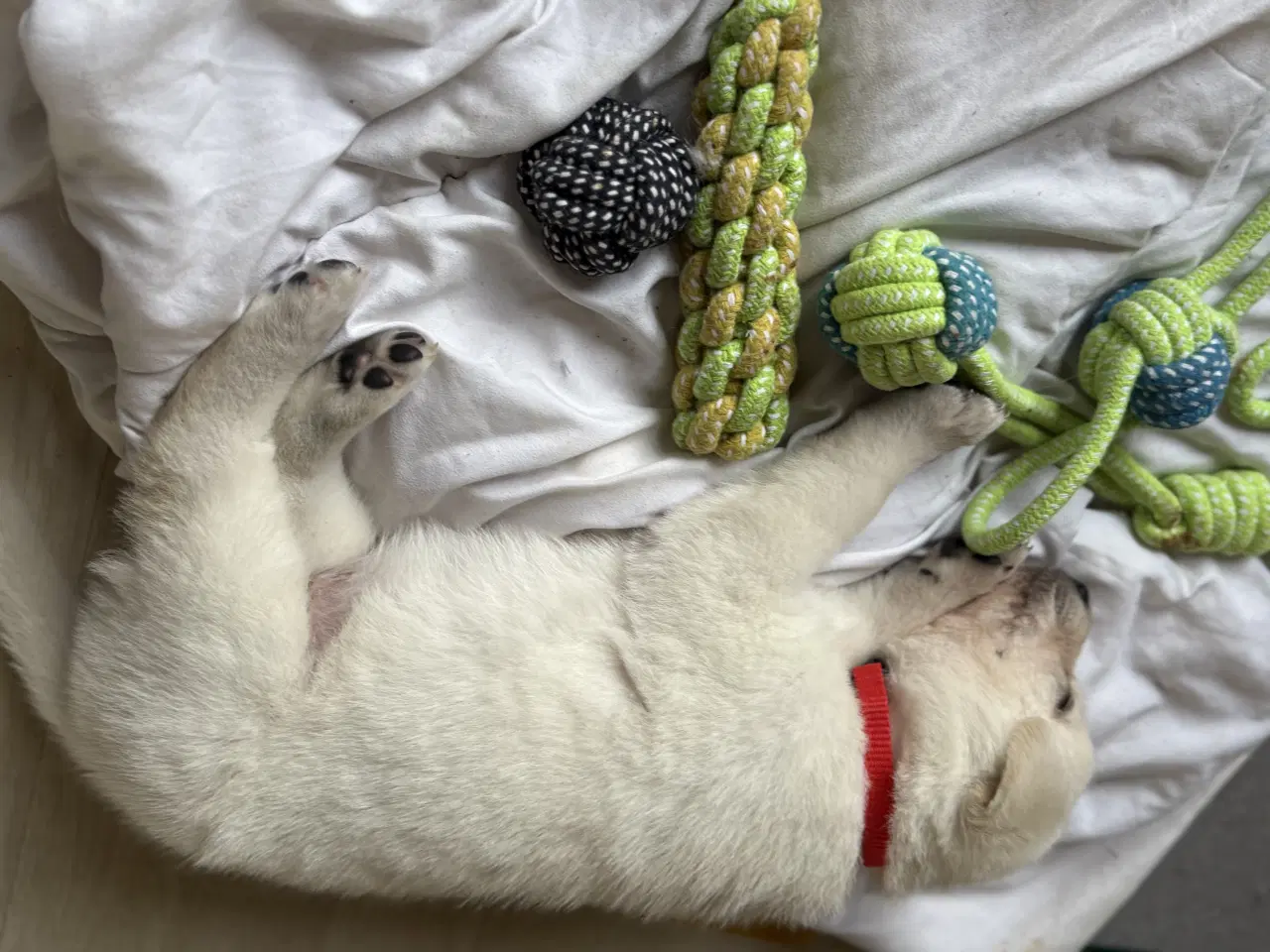 Billede 8 - Blød julegave så se her kan leveres